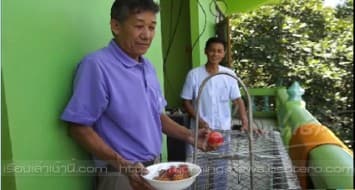 ลิงป่วนผู้ปฏิบัติธรรม สำนักสงฆ์แจ้งจนท.จับตัว