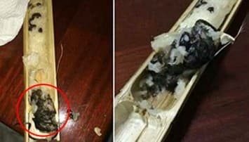 สยอง! ชาวเน็ตวิจารณ์ขรม เจอะหนูตายในกระบอกข้าวหลาม