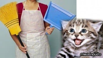 เปิบสยอง! สาวใช้คลั่งจับแมวเจ้าของบ้านถลกหนังกินทั้งเป็น