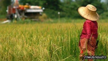 ผลสำรวจชี้ชาวนาไทยจนที่สุดในอาเซียน 