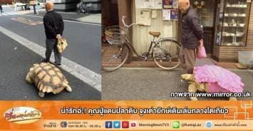 น่ารักอ่ะ! คุณปู่แดนปลาดิบ จูงเต่ายักษ์เดินเล่นกลางโตเกียว