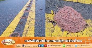 กองทัพไส้เดือนโผล่กลางถนนสหรัฐฯ หลังเกิดน้ำท่วม