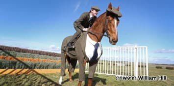 (คลิป) หล่อเลย! ม้าหนุ่มสวมชุดสูทต้อนรับการแข่งขัน Cheltenham Festival 2016