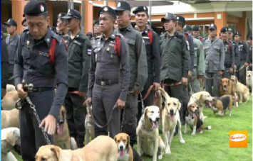 ตำรวจภูธรภาค 5 ติดยศสุนัขดมกลิ่นยาเสพติดครั้งแรกในประเทศ