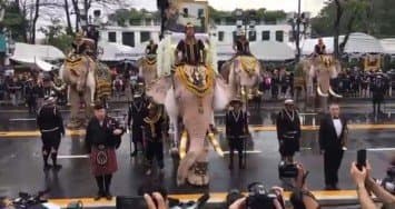 มูลนิธิพระคชบาล-กลุ่มคชสาร นำช้างเข้าร่วมถวายสักการะพระบรมศพในหลวง ร.๙