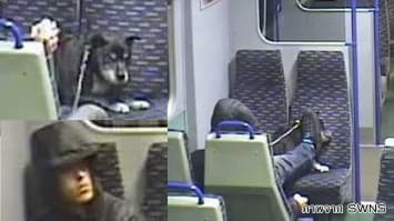 สะเทือนใจคนรักสัตว์! กล้องวงจรปิดจับภาพหนุ่มอังกฤษทารุณสุนัขบนรถไฟ