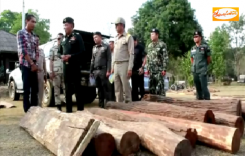 จนท.จับกุมขบวนการลักลอบขนไม้พะยูงในอุทยานแห่งชาติทับลาน ยึดของกลางมูลค่า 1 ล้าน