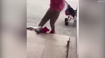 เผยคลิปสุดช็อก แม่ลูกอ่อนจีนใช้เท้าเตะ-จับลูกทุ่มพื้น อ้างเครียดเด็กงอแงไม่หยุด