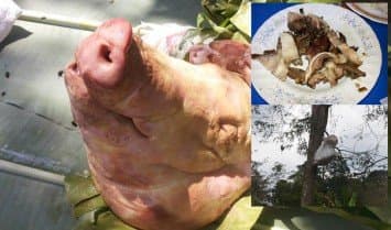 หมูเน่าลอยฟ้า เปิบพิสดารอาหารบ้านป่าสุดฮิตชาวบ้านนาคูหา จ.แพร่