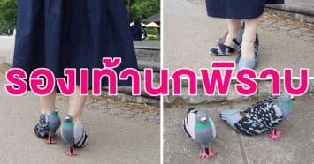 ไอเดียแหวก! หญิงญี่ปุ่นอยากใกล้ชิดกับฝูงนก ประดิษฐ์ 'รองเท้านกพิราบ' สุดเนียน