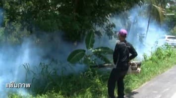 ยอดผู้ป่วยไข้เลือดออกพุ่งกว่า 100 รายในจังหวัดลำพูน ระดมจนท. กำจัดแหล่งเพาะพันธุ์ยุงด่วน