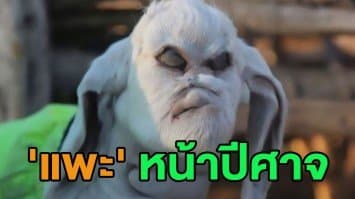 (คลิป) ชาวบ้านตกใจกลัว 'ลูกแพะ' ใบหน้าคล้ายปีศาจ เกิดในฟาร์มอาร์เจนตินา