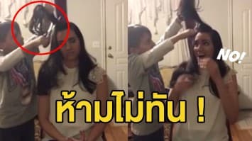 (คลิป) โซเชียลกระหน่ำกดไลค์! โมเม้นท์ชวนอ้าปากค้าง หนูน้อยคว้ากรรไกรตัดผมแม่หลุดทั้งกระจุก