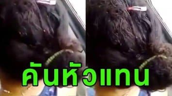 (คลิป) ชาวเน็ตเม็กซิโกโพสต์คลิปแอบถ่าย 'เหา' เดินยุบยิบบนหัวผู้โดยสารสาว