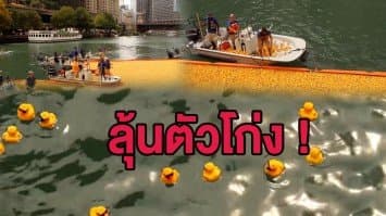 (คลิป) แหวกแนว!  ชาวชิคาโกแห่นำ 'เป็ดยาง' เเข่งลอยเข้าเส้นชัย กว่า 6 หมื่นตัว