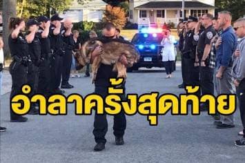 เผยภาพสุดเศร้า ตร.สหรัฐฯ จัดแถวส่งสุนัขคู่ใจเป็นครั้งสุดท้าย ก่อนทำการุณยฆาต หลังป่วยมะเร็งหนัก