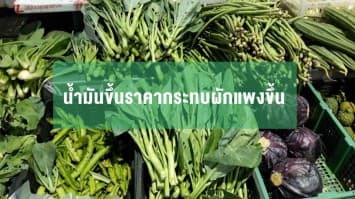 ราคาผักสดตลาดพังงาพุ่งสูง หลังราคาน้ำมันแพง