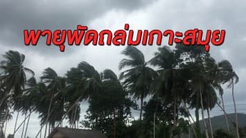 พายุกระโชกแรงพัดถล่มเกาะสมุย ไฟดับเกือบทั้งเกาะ ต้นมะพร้าวล้มทับบ้านมีคนเจ็บ