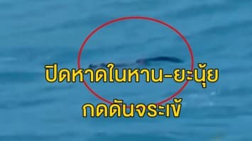 ปิดหาดในหาน-ยะนุ้ย กดดันจระเข้ให้อยู่ในวงแคบ เผยคลื่นลมแรงเป็นอุปสรรค