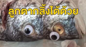 แบบนี้ก็ได้เหรอ? ร้านขายปลาในคูเวตแปะ ‘ลูกตาปลอม’ หวังตบตาลูกค้าว่าเป็นปลาสด