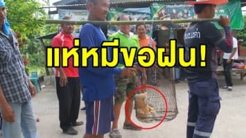 ชาวบ้านใช้ ‘ตุ๊กตาหมี’ แห่ขอฝนแทน ‘แมว’ เว้นการทรมานสัตว์