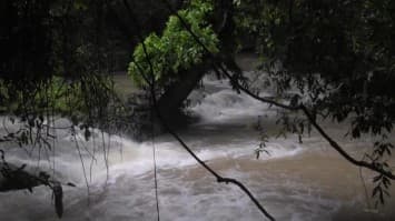 สั่งห้าม นทท. เข้าน้ำตกอุทยานฯ ธารโบกขรณีชั่วคราว หลังฝนตกต่อเนื่อง ระดับน้ำเพิ่มหวั่นอันตราย