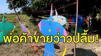 พ่อค้าโคราชปลื้ม! ขายว่าวริมทางรายได้ดีรับลมหนาว ชี้ว่าวจุฬาขายดีสุด