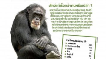 สัตว์แก่เร็วกว่าคนหรือเปล่า?