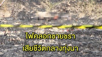 สลด ชายชราวัย 81 จุดไฟเผาตอซังข้าว ถูกไฟคลอกเสียชีวิตกลางทุ่งนา