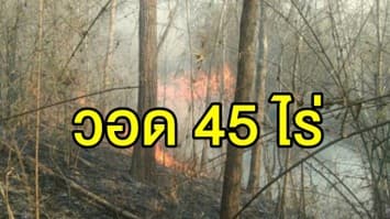 ไฟป่าลำปางยังวิกฤต! ไฟไหม้ป่าดอยพระบาทวอด 45 ไร่ เร่งระดมสกัดเพลิงนาน 6 ชม.