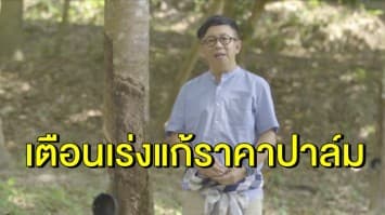 'สาทิตย์' เตือนรัฐบาลเร่งแก้ราคาปาล์มตก ก่อนบานปลาย 