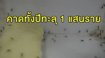 กระทรวงสาธารณสุข เผยปีนี้ผู้ป่วยไข้เลือดออกมีแนวโน้มสูงขึ้น คาดทั้งปีพุ่งทะลุ 1 แสนราย 