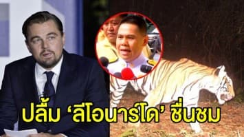 ‘วราวุธ’ ปลื้ม ‘ลีโอนาร์โด’ ขอบคุณ จนท.ห้วยขาแข้ง ช่วยฟื้นฟูจำนวนเสือ