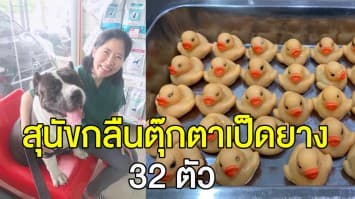 สุนัขกลืนตุ๊กตาเป็ดยางลงท้อง 32 ตัว สัตวแพทย์โพสต์ วอนเจ้าของเลิกซื้อให้เล่น