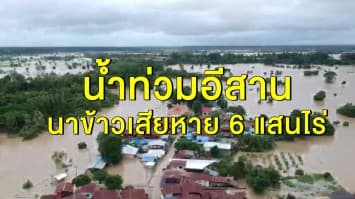 ศูนย์วิจัยกสิกรไทยประเมินน้ำท่วมอีสาน ทำนาข้าวเสียหาย 6 แสนไร่ มูลค่ากว่า 1.8 พันล้านบาท