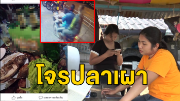 สุดแสบ! โจรขโมยปลาเผาโพสต์เย้ยโชว์แซ่บ แม่ค้าโวยจำแม่นโร่แจ้งความ