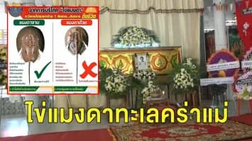 สังเวยชีวิต ครอบครัวกินไข่แมงดาทะเล เจอพิษแรงโคม่าทั้งบ้าน แม่เคราะห์หนักเสียชีวิต