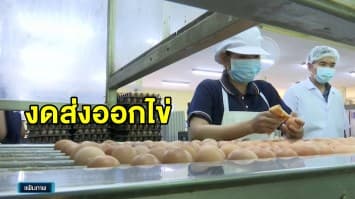 ก.พาณิชย์ ระงับการส่งออกไข่ หลังเกิดปัญหาไข่ขาดตลาด