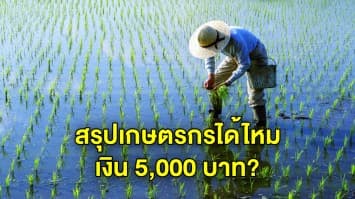 สรุปจะได้เงินไหม? ตอบข้อสงสัย เยียวยาเกษตรกร 5,000 บาท นาน 3 เดือน “ได้” หรือ “ไม่ได้”