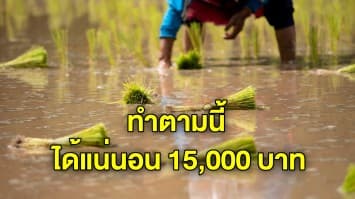 จ่ายแน่! สรุปชัดๆ ต้องทำอย่างไรถึงได้เงินเยียวยา ลงทะเบียนเกษตรกร 5,000 นาน 3 เดือน