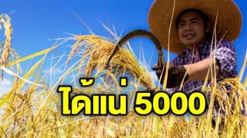 ธ.ก.ส. พร้อมโอนเงินเยียวยา 5,000 บาท 3 เดือน แก่เกษตรกรที่ขึ้นทะเบียน 10 ล้านราย