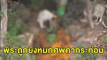 ชาวบ้านผงะ! นำอาหารเตรียมถวายพระ กลับพบเป็นศพหมกคากระท่อมกลางป่า