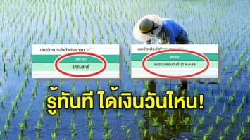 เปิดวิธีเช็กสิทธิเงินเยียวยาเกษตรกร 15,000 หายสับสน ทำตามนี้ รู้ทันทีได้เงินวันไหน!