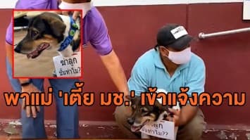 เจ้าของพาแม่ เตี้ย มช. แขวนป้าย "ฆ่าลูกชั้นทำไม" แจ้งความเอาผิดคนลักตัวเตี้ย