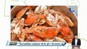 โรงทานพรีเมี่ยม! ยกทัพกุ้งมังกร 100 ตัว-ปูม้า 1 ตัน ทำบุญครบรอบ 28 ปีหลวงพ่อฤๅษีลิงดำ