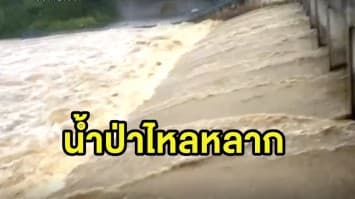 พายุดีเปรสชั่นทำพิษ น้ำป่าไหลหลากเข้าท่วมวังสมบูรณ์