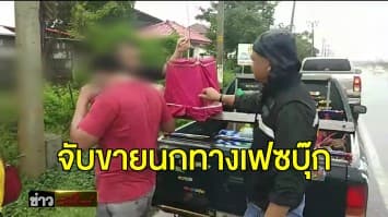 หนุ่มเลิกเลี้ยงนกกรงหัวจุก โพสต์ขายทางเฟซบุ๊ก ถูก จนท.รวบ ผิดค้าสัตว์ป่าคุ้มครอง  