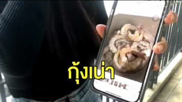 สาวโพสต์ระบาย ซื้อกุ้ง 2 กิโล ได้กุ้งเน่า จี้หน่วยงานตรวจสอบ 