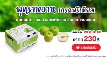 ThailandPostMart ชวนซื้อ พุทราหวานบ้านโพน จ.กาฬสินธุ์ หวาน กรอบ ปลอดสารพิษ ส่งตรงจากเกษตรกรถึงผู้บริโภคทั่วไทย