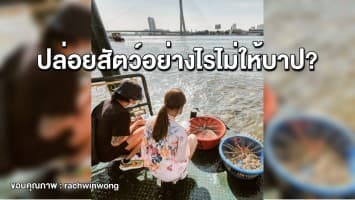 จากดราม่าก้อยตูน ตอบปมอยากทำบุญปล่อยสัตว์ ปล่อยอย่างไรไม่ให้บาป?